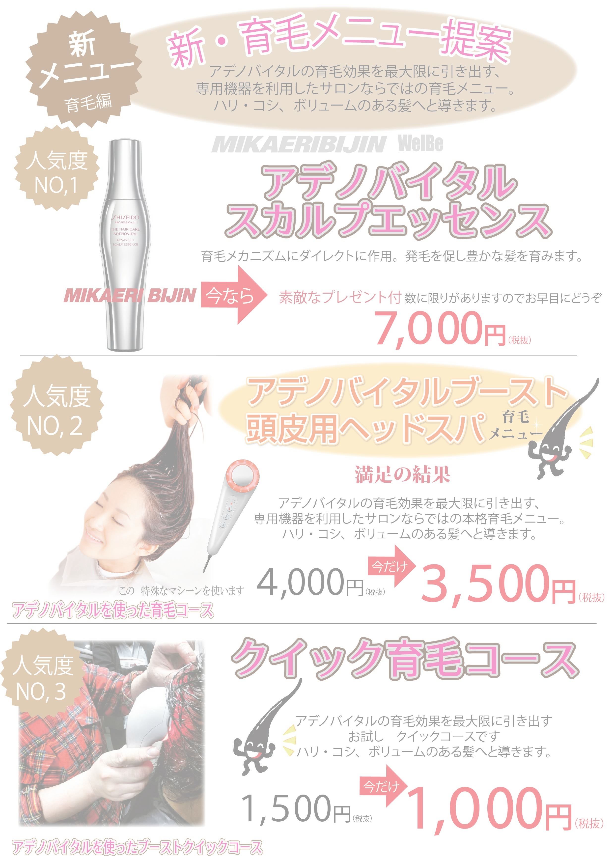 みかえりびじん育毛メニュー