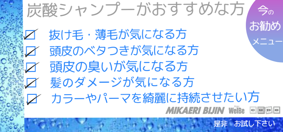 みかえりびじん 炭酸シャンプー