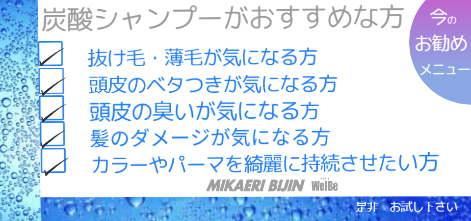 みかえりびじん 炭酸シャンプー